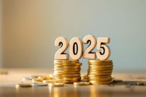 征信查询90次都没下款10月独家揭秘！本文为您隆重总结！